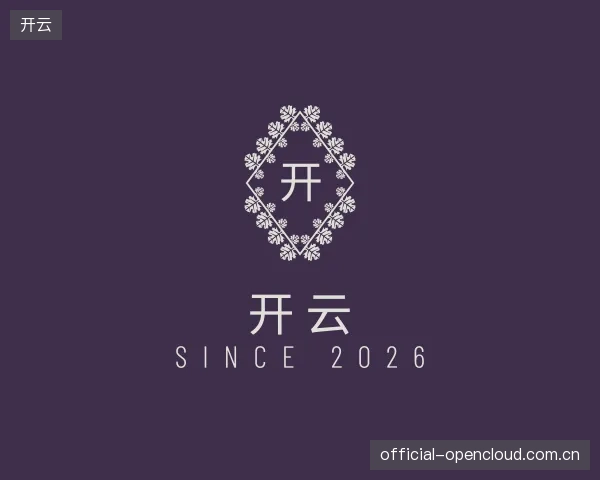 关于开云团队